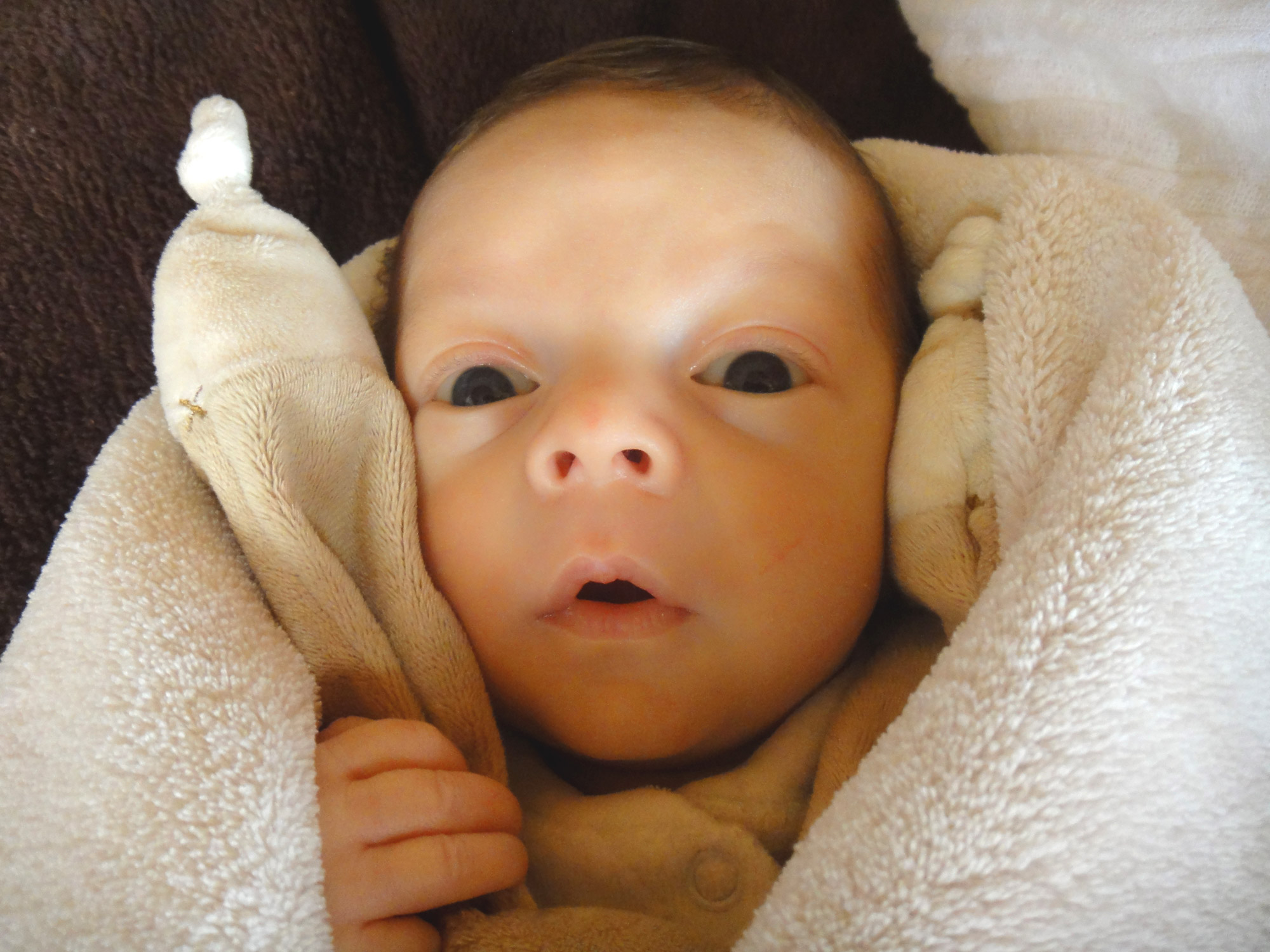 Sebastian